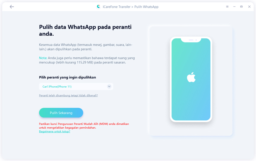 program memulihkan sekarang - panduan